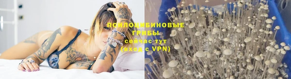 стафф Кукмор