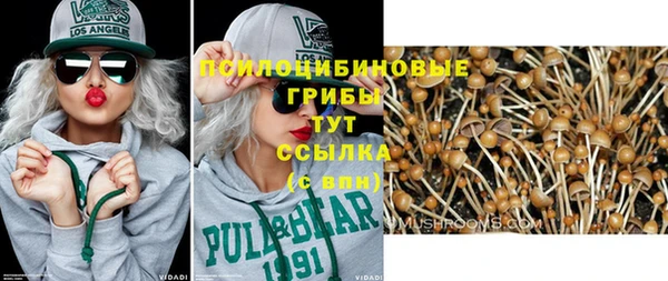 стафф Кукмор