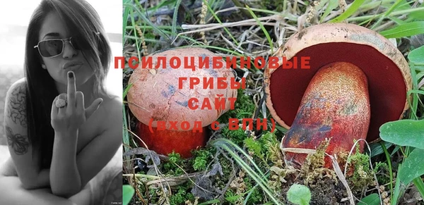 стафф Кукмор