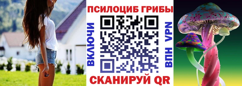 Псилоцибиновые грибы Psilocybe  Купить где  Кондопога 